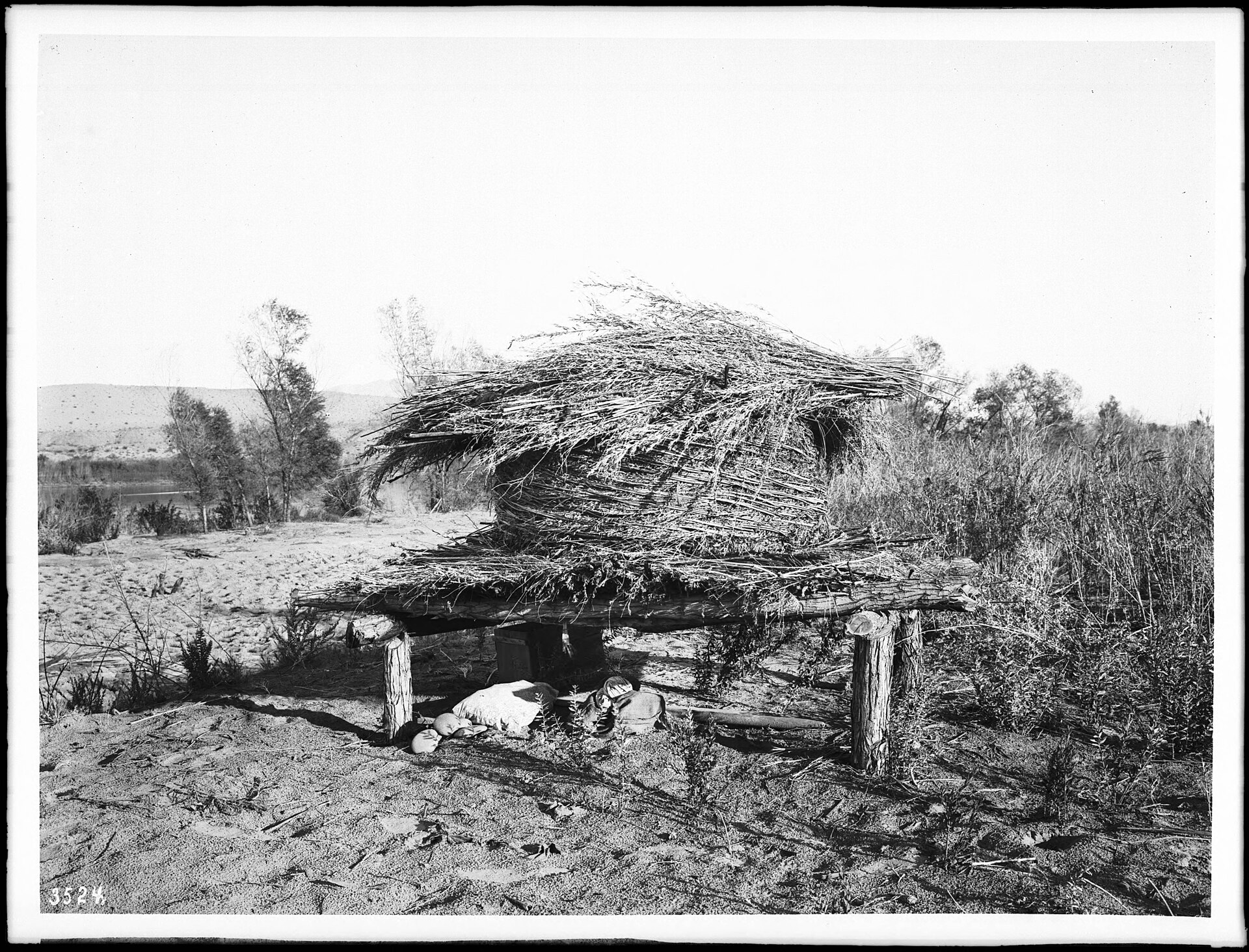 A Chemehuevi suguin, or granary, a raised brush storehouse in the desert, photographed around 1900.
