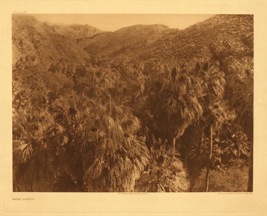 A Chemehuevi brush dwelling set among mesquite and desert scrub, photographed by Edward S. Curtis.