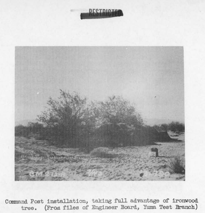 A brush-covered command post concealed beneath a large desert ironwood tree, with equipment barely visible in the shade.